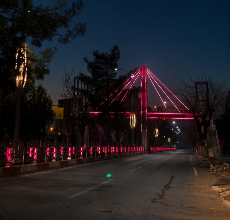 Siirt Belediyesi Üst Geçit — fotoğraf 6