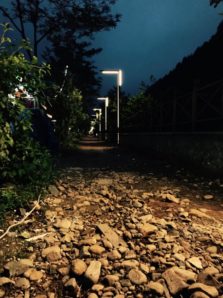 Uzungöl Milli Parkı — fotoğraf 10